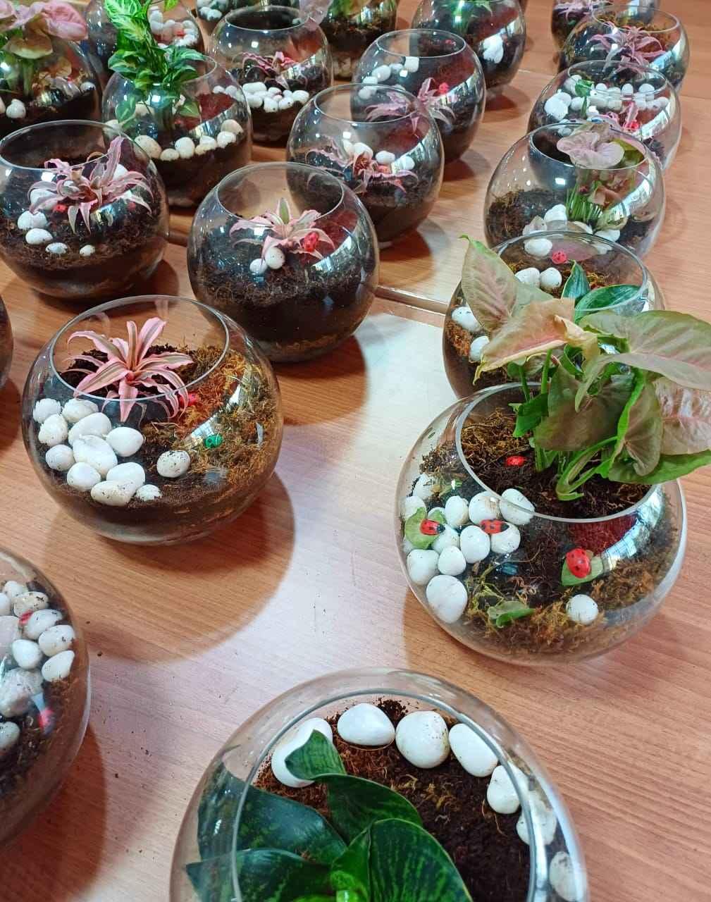 Thakur School of Architecture and Planning Mumbai Images photo 16